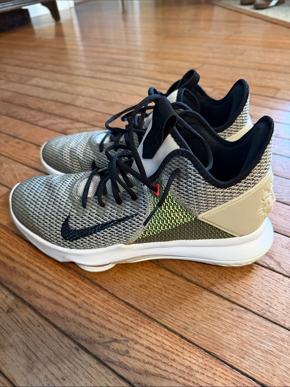 LeBron James (King James) shoes.